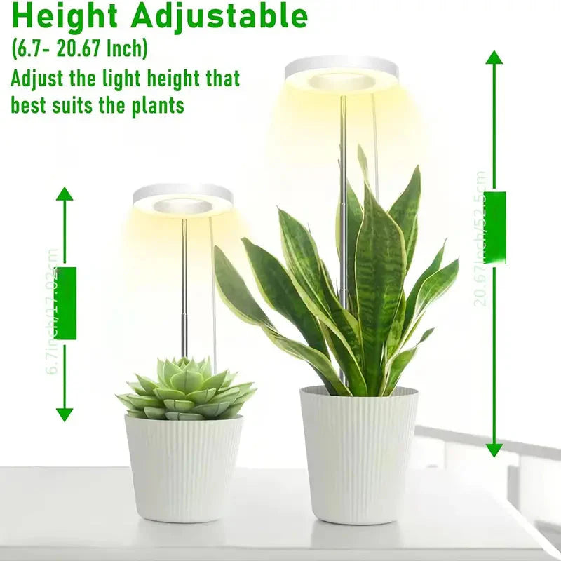 Full Spectrum LED Halo Plant Light With Stand Height Adjustable Auto Timer
