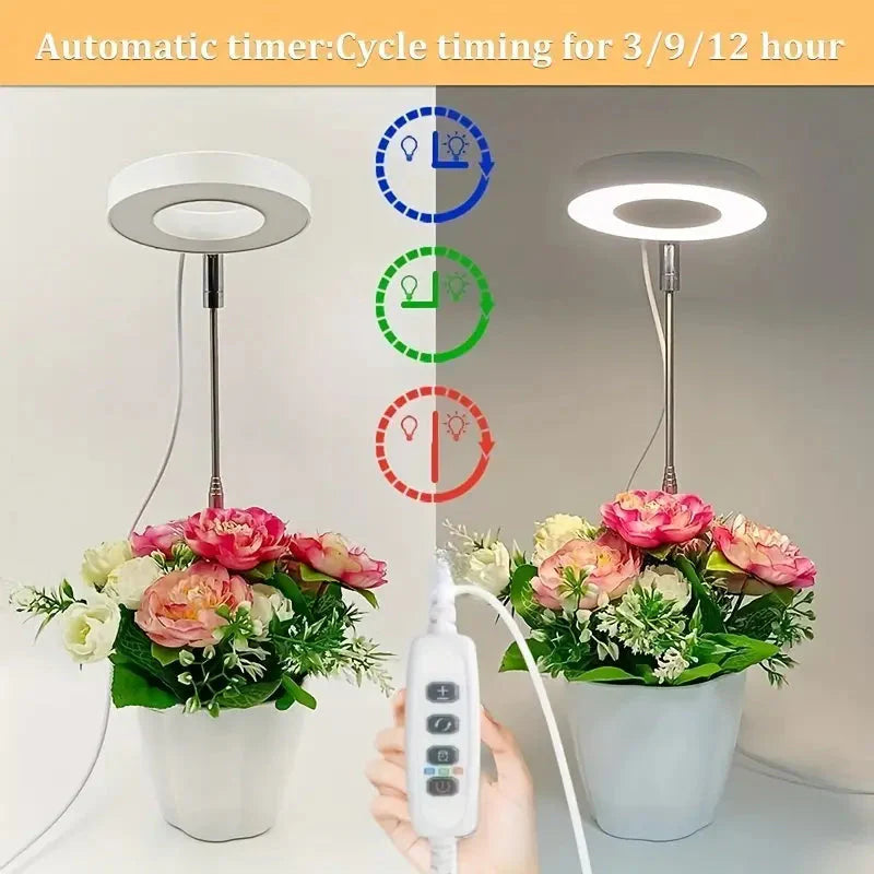 Full Spectrum LED Halo Plant Light With Stand Height Adjustable Auto Timer