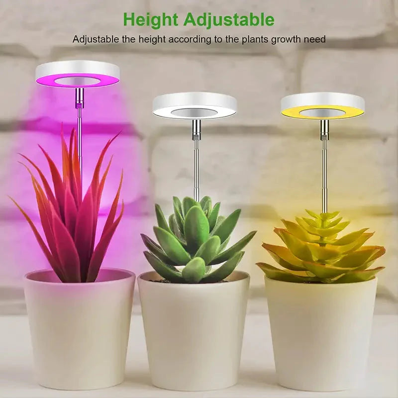 Full Spectrum LED Halo Plant Light With Stand Height Adjustable Auto Timer