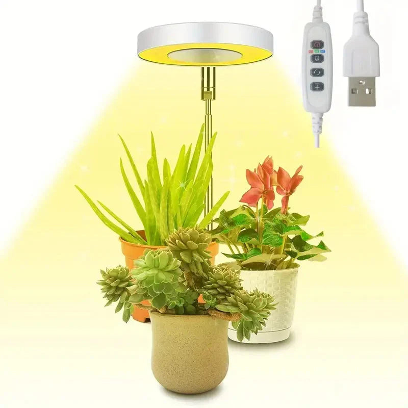 Full Spectrum LED Halo Plant Light With Stand Height Adjustable Auto Timer