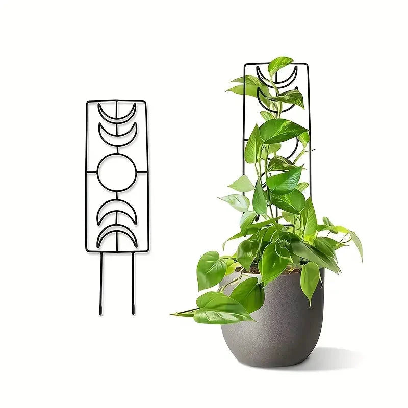 2-Pack: Metal Plant Trellis for Climbing Plants Indoor