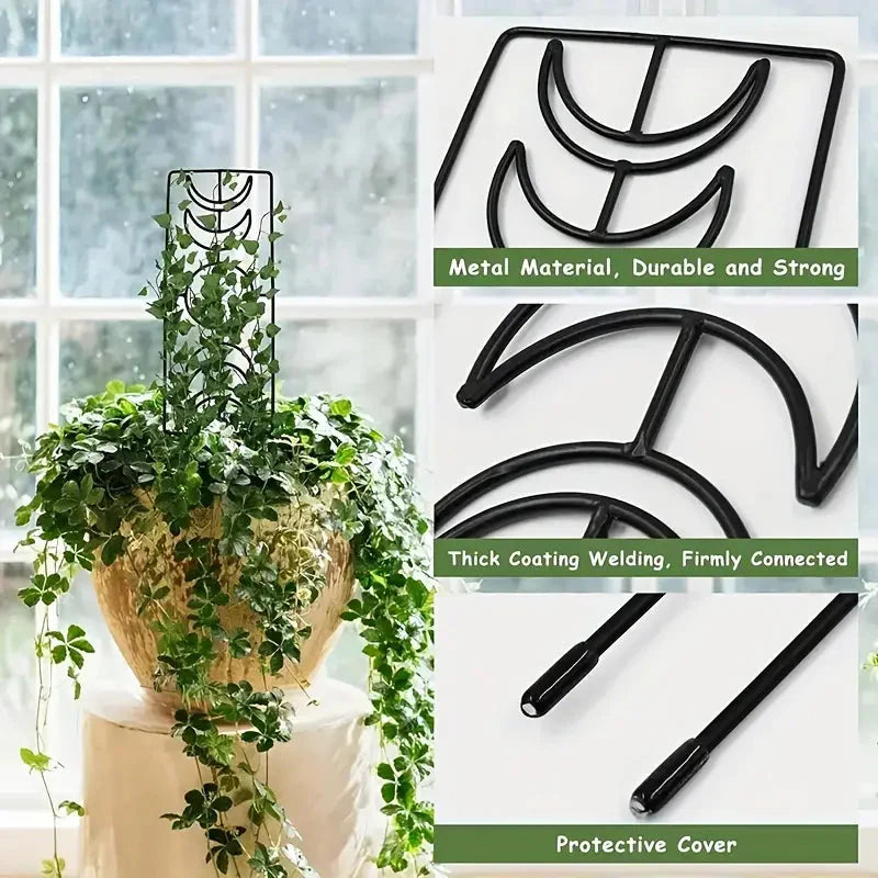 2-Pack: Metal Plant Trellis for Climbing Plants Indoor