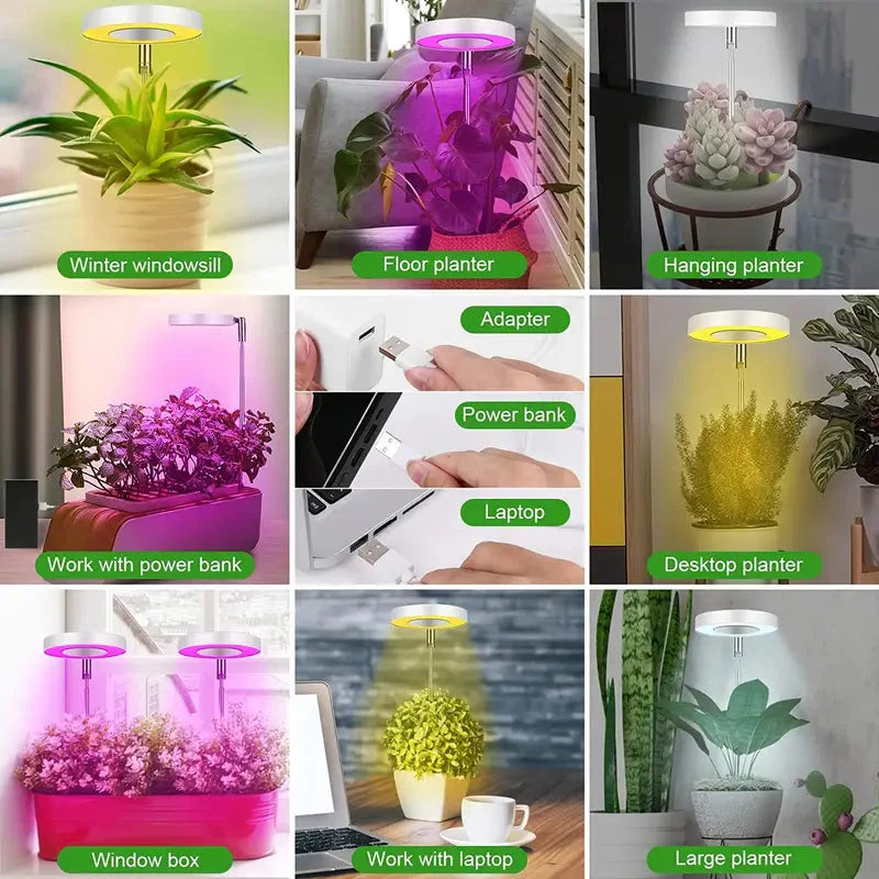 Full Spectrum LED Halo Plant Light With Stand Height Adjustable Auto Timer