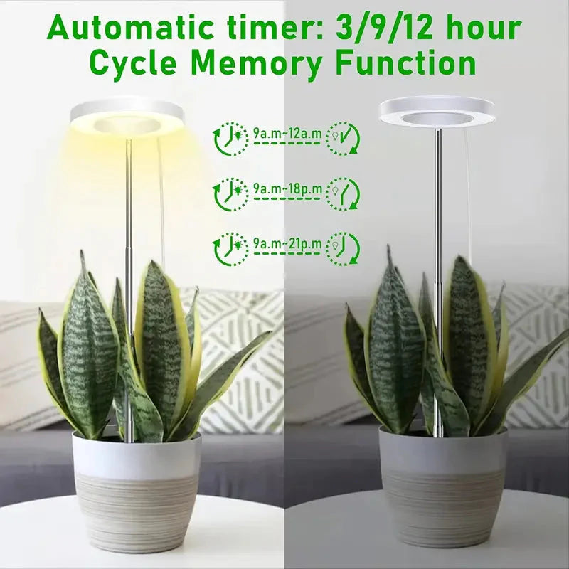 Full Spectrum LED Halo Plant Light With Stand Height Adjustable Auto Timer