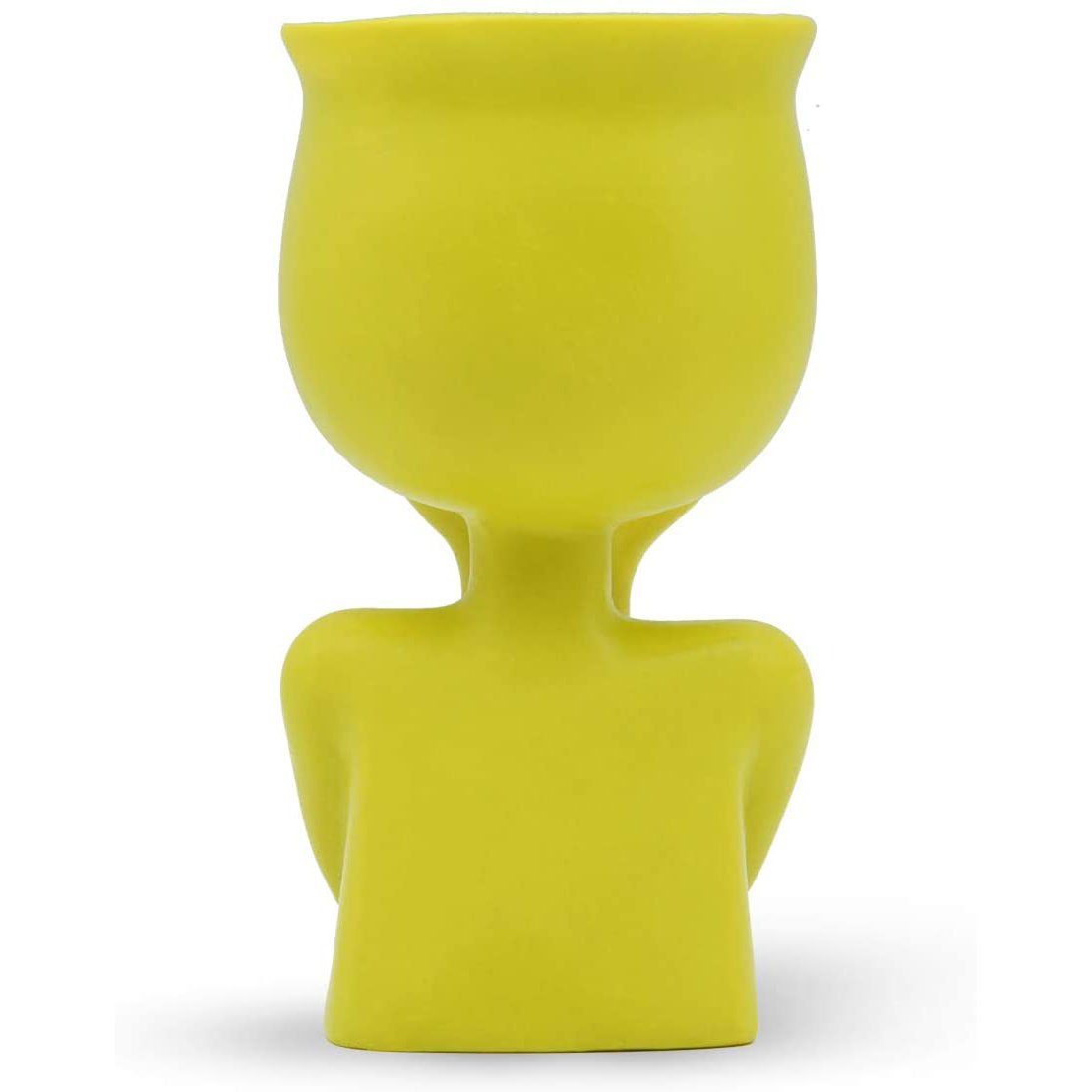 Greneric Character Portrait Flower Pot Resin Succulents Plant Pot