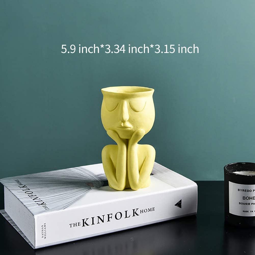Greneric Character Portrait Flower Pot Resin Succulents Plant Pot