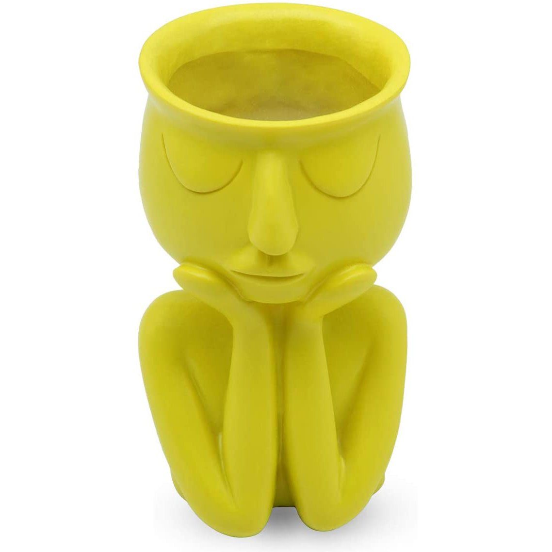 Greneric Character Portrait Flower Pot Resin Succulents Plant Pot