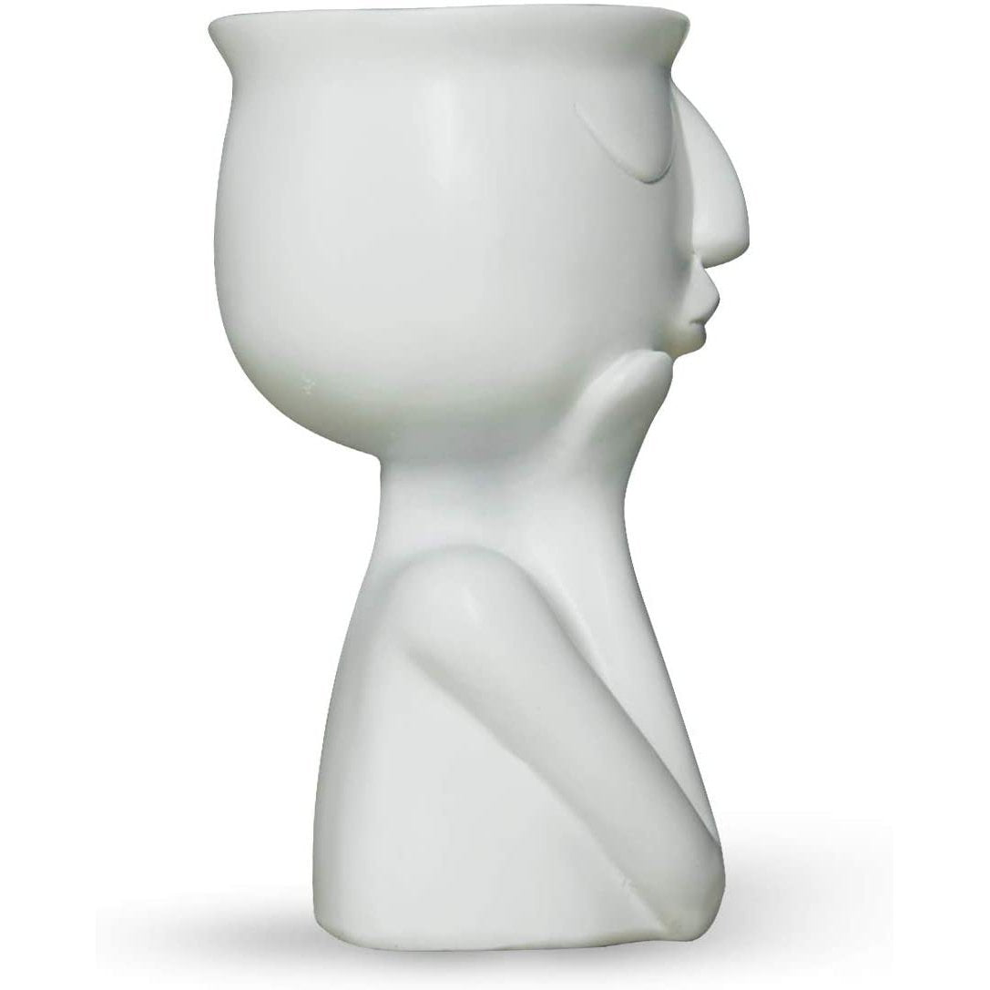 Greneric Character Portrait Flower Pot Resin Succulents Plant Pot