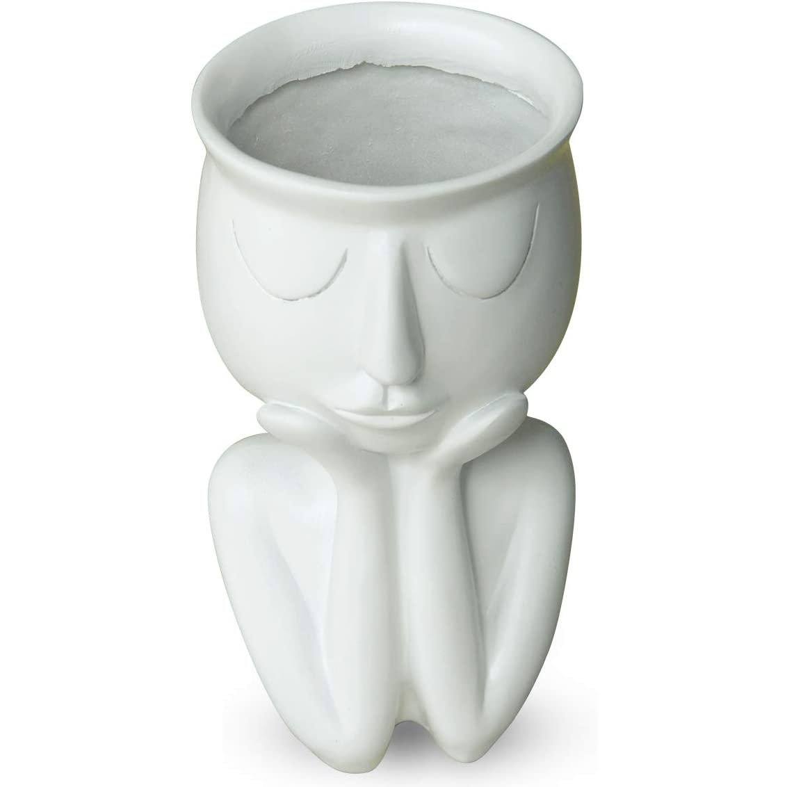 Greneric Character Portrait Flower Pot Resin Succulents Plant Pot