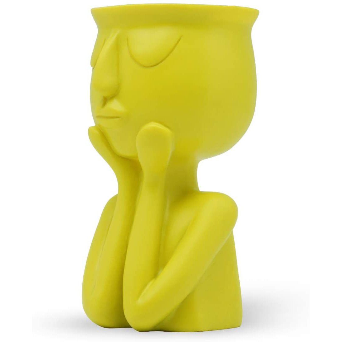 Greneric Character Portrait Flower Pot Resin Succulents Plant Pot