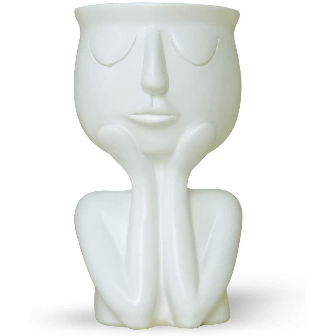 Greneric Character Portrait Flower Pot Resin Succulents Plant Pot