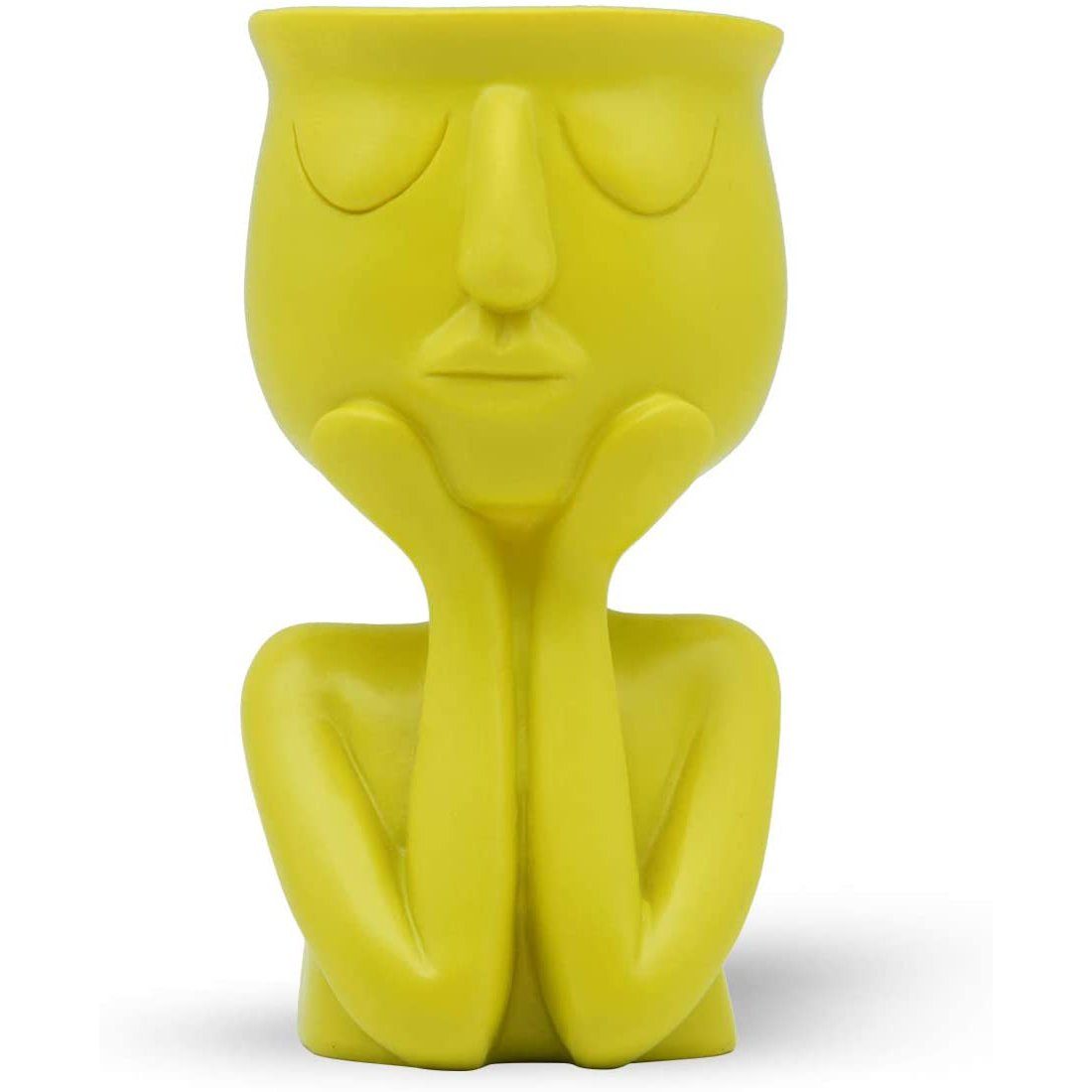 Greneric Character Portrait Flower Pot Resin Succulents Plant Pot