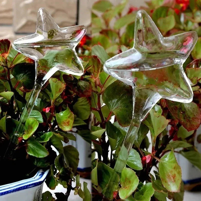 Mushroom Flower Watering Device